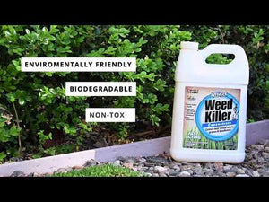 
                  
                    Load and play video in Gallery viewer, Avenger® | Weed Killer | Concentrate | 1 gal.
                  
                