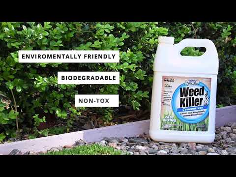 128 oz organic weed killer herbicide concentrated Avenger® | Weed Killer | Concentrate