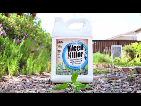 
                  
                    Load and play video in Gallery viewer, Avenger® | Weed Killer | Ready-To-Use | 1 gal.
                  
                